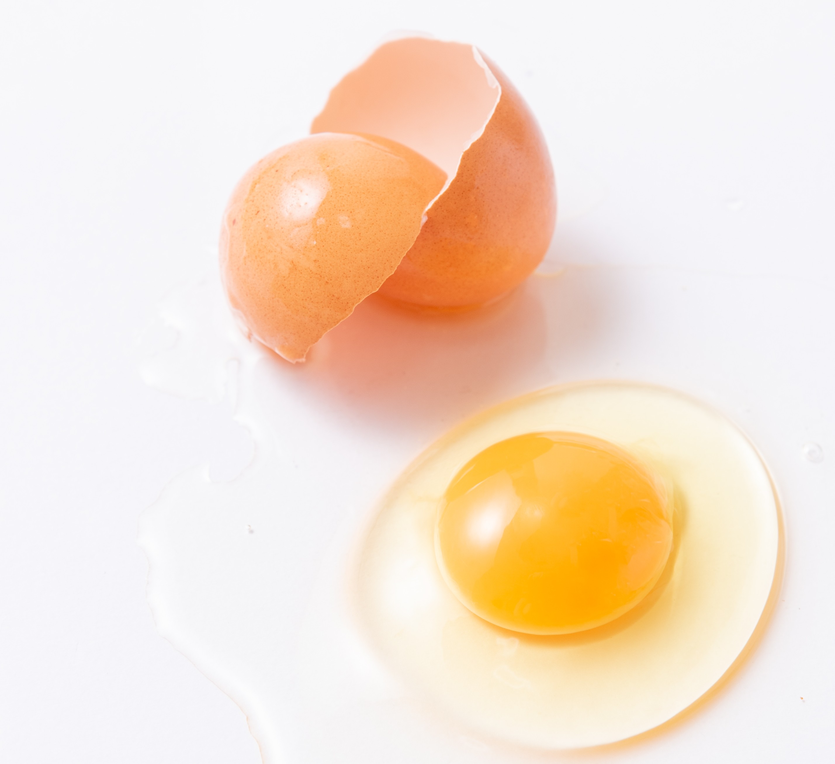 中村農場の烏骨鶏卵（10個パック） | 中村農場